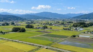 農地を売買する前に知っておきたい農地法の基礎知識と流れ