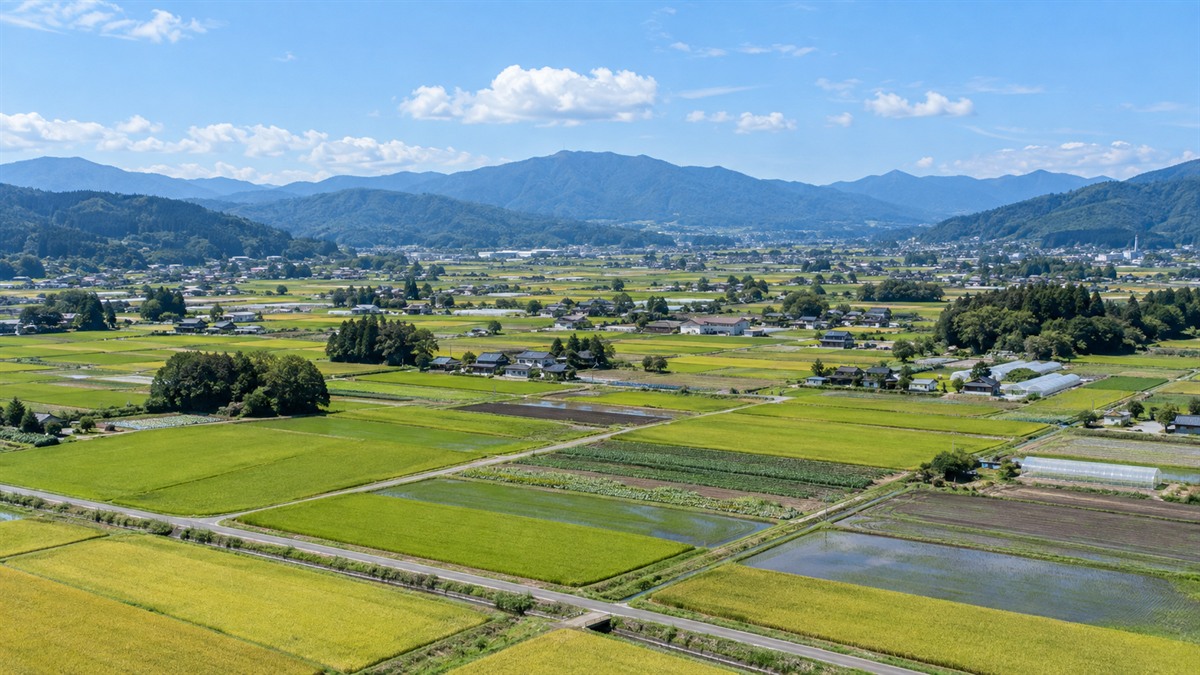 農地を売買する前に知っておきたい農地法の基礎知識と流れ